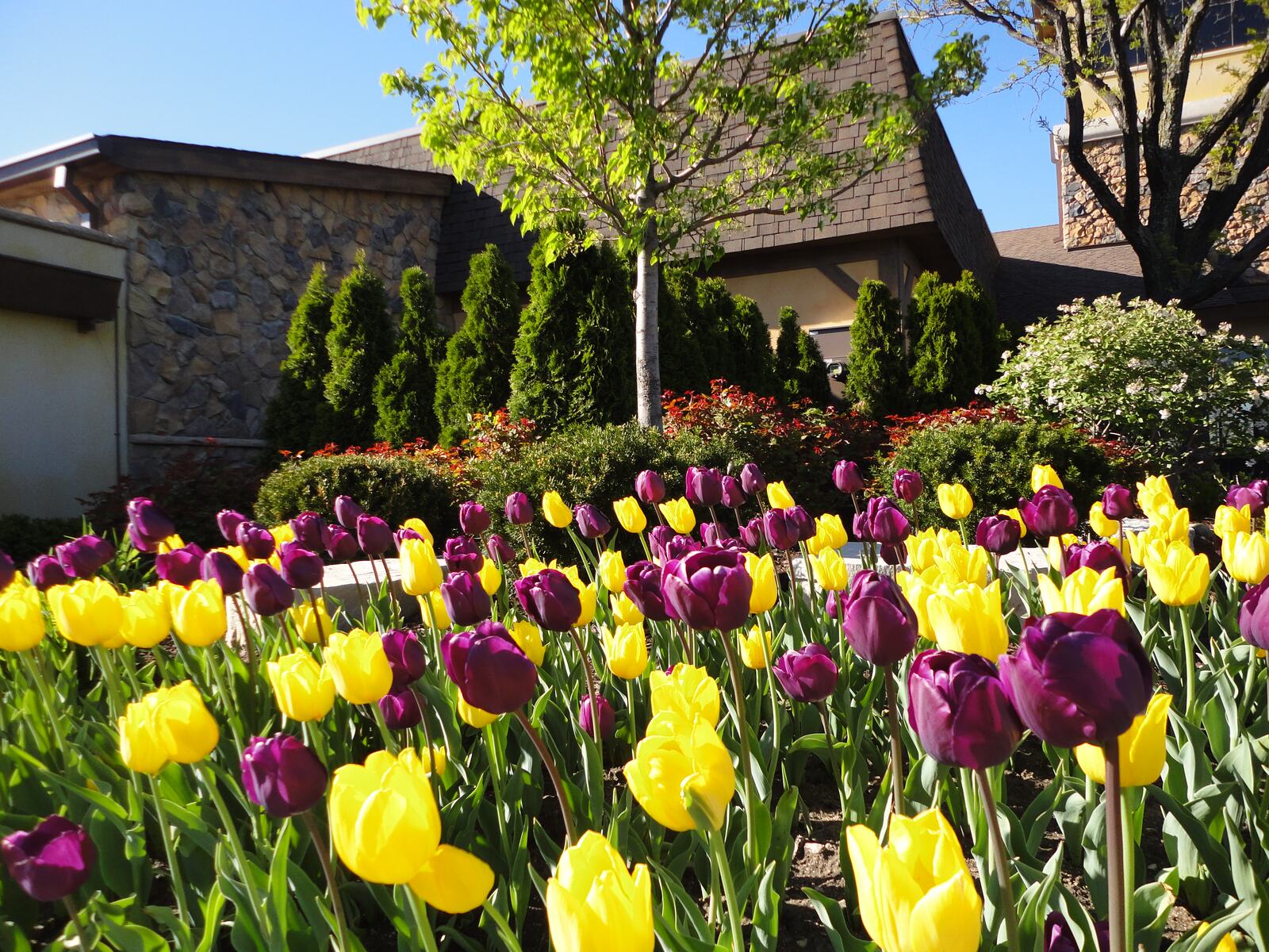 Our Team — Green Grass Landscape, Chicago's western suburbs