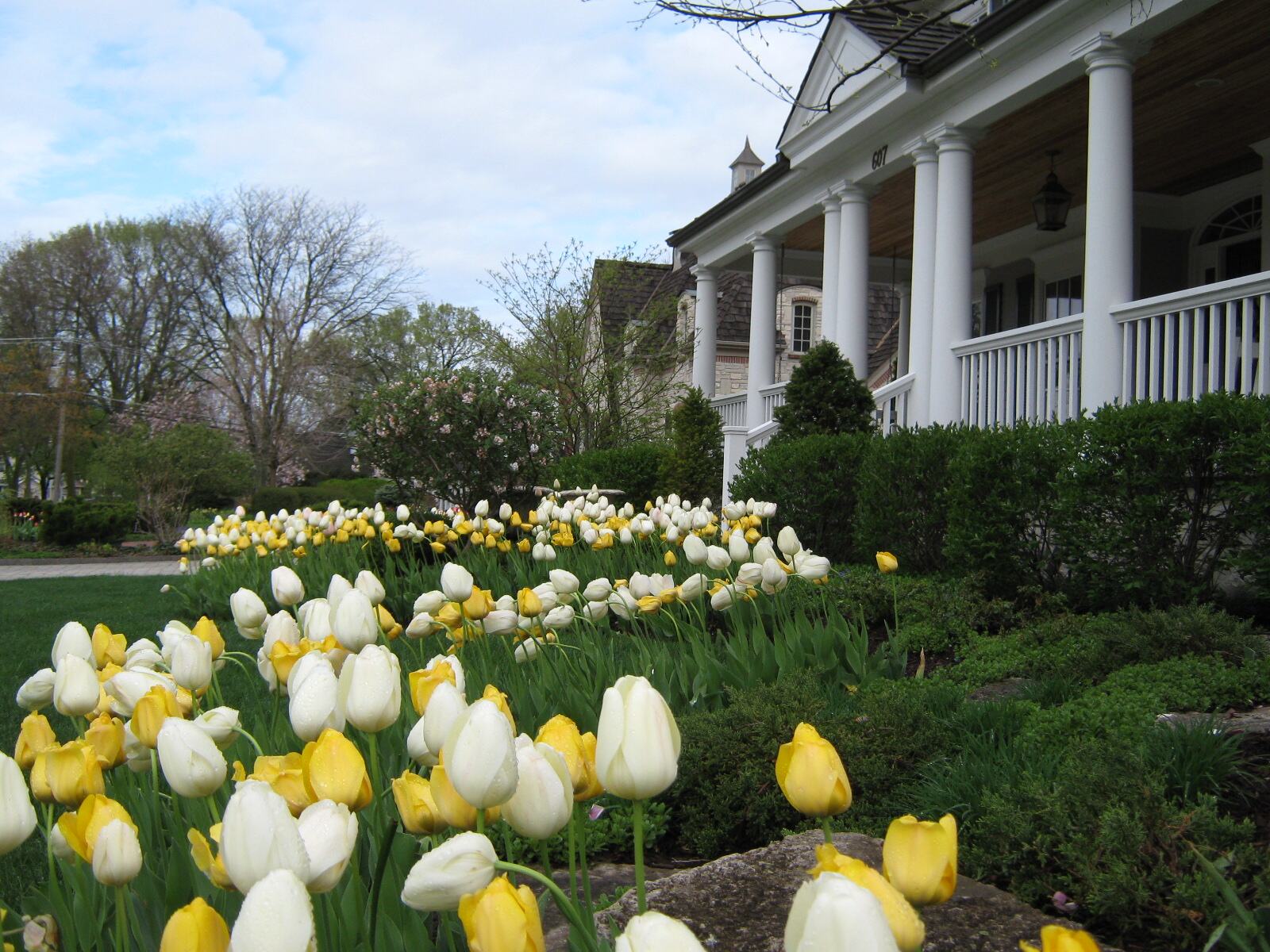 Landscape maintenance in La Grange, IL