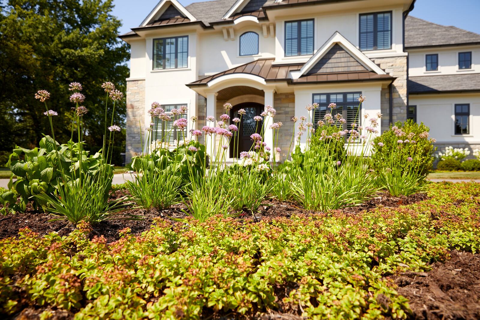 Green Grass Landscape design studio — Green Grass Landscape, Chicago's western suburbs