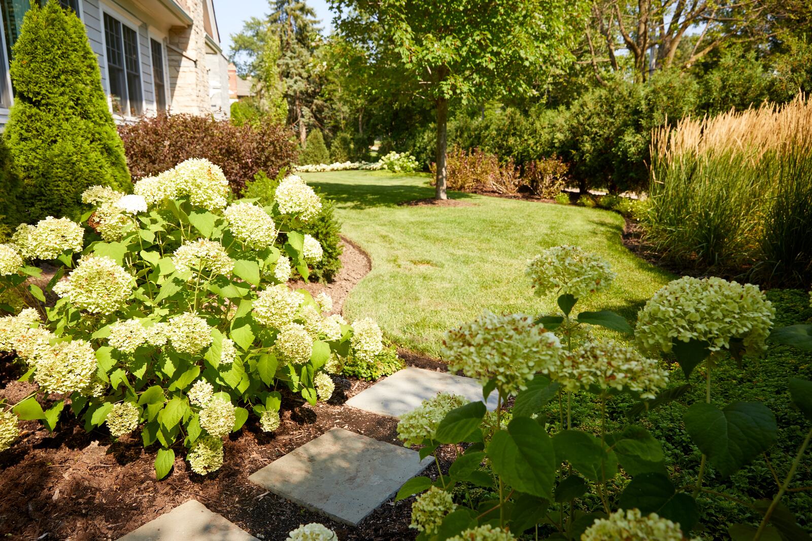 Green Grass Landscape