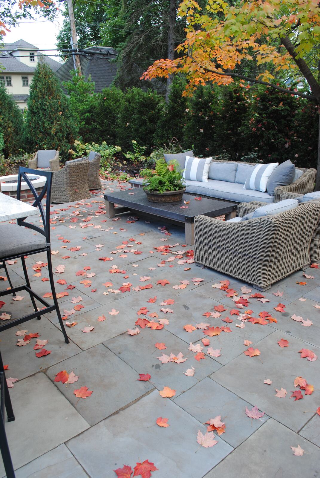 Spring & Fall Clean Up — Green Grass Landscape, Chicago's western suburbs