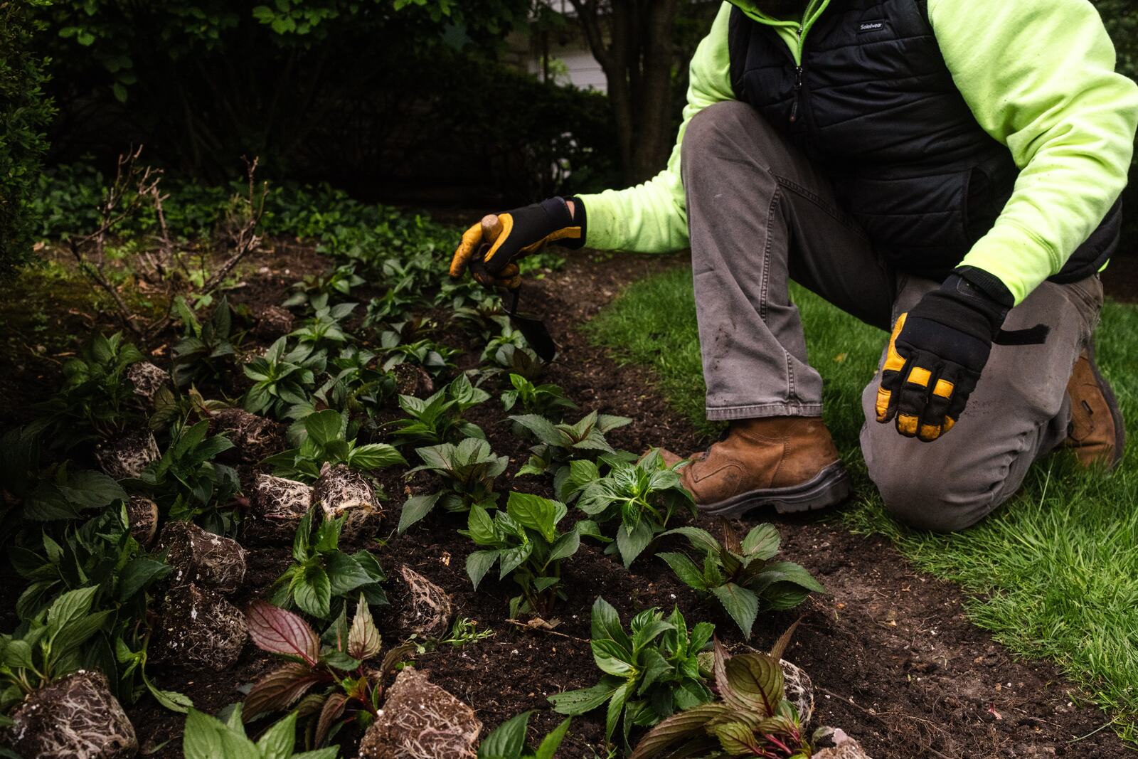 Full-service landscape maintenance — Green Grass Landscape, Chicago's western suburbs