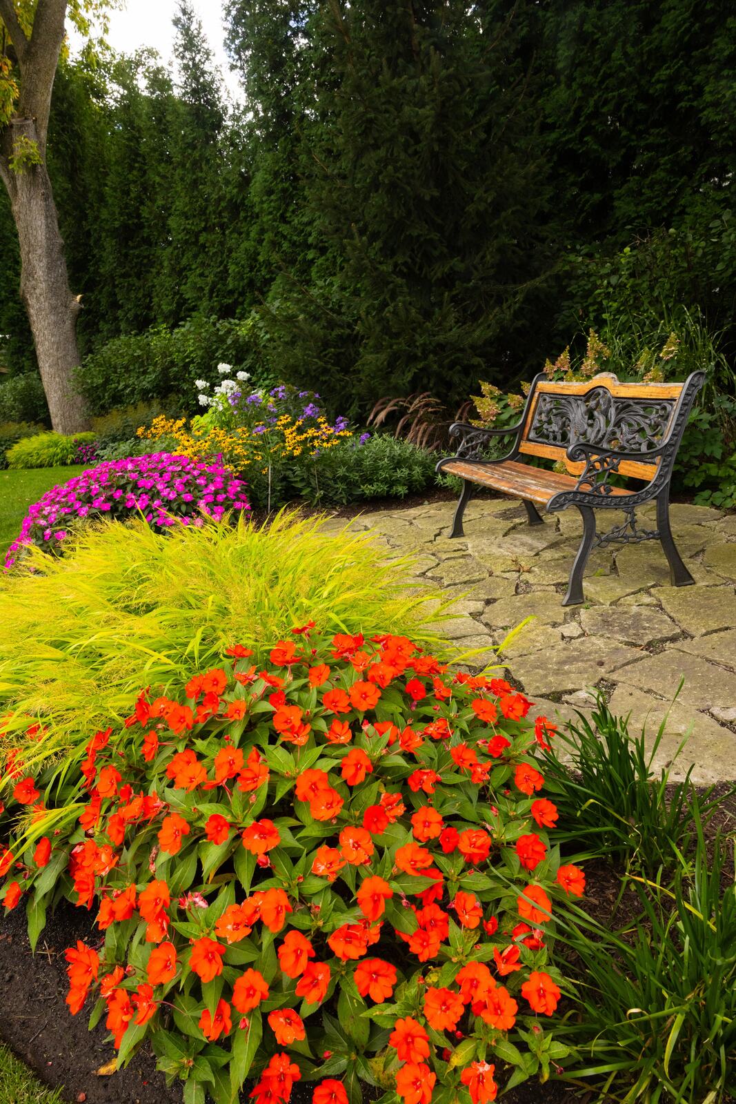 Seasonal container and color rotations — Green Grass Landscape, Chicago's western suburbs