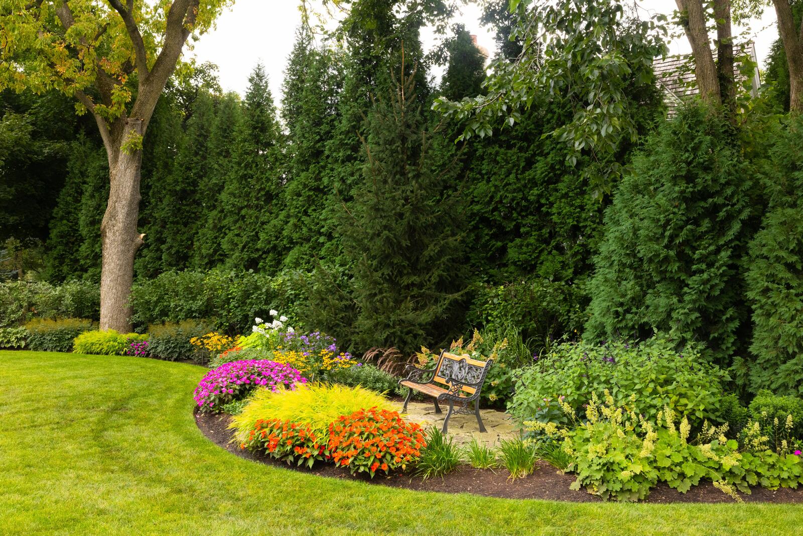 Plant installation — Green Grass Landscape, Chicago's western suburbs