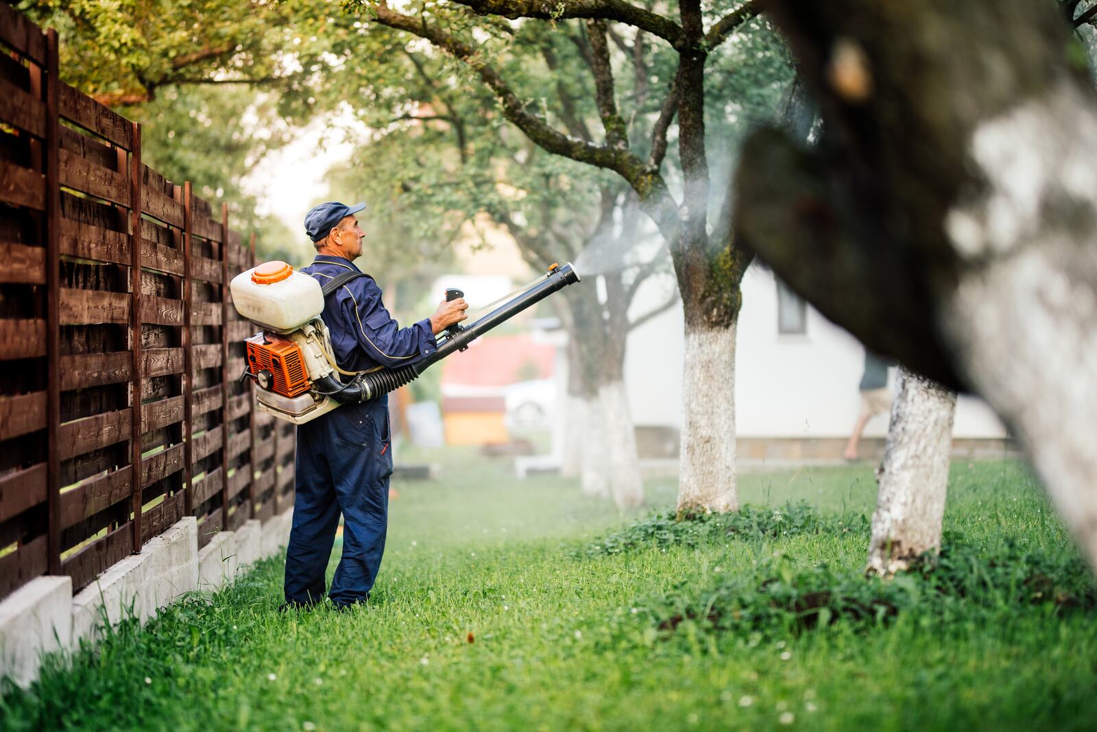 Mosquito control treatment — Green Grass Landscape, Chicago's western suburbs