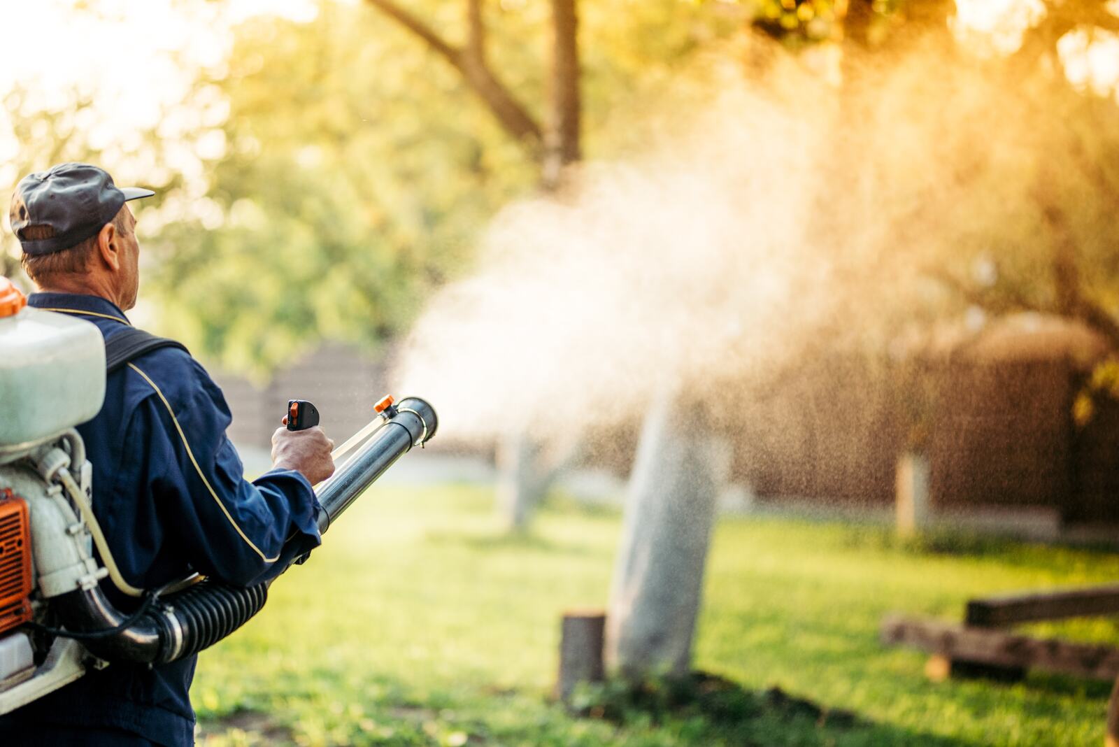 Mosquito control treatment — Green Grass Landscape, Chicago's western suburbs