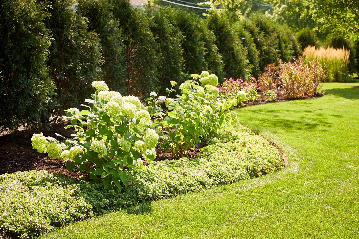Mosquito control treatment — Green Grass Landscape, Chicago's western suburbs