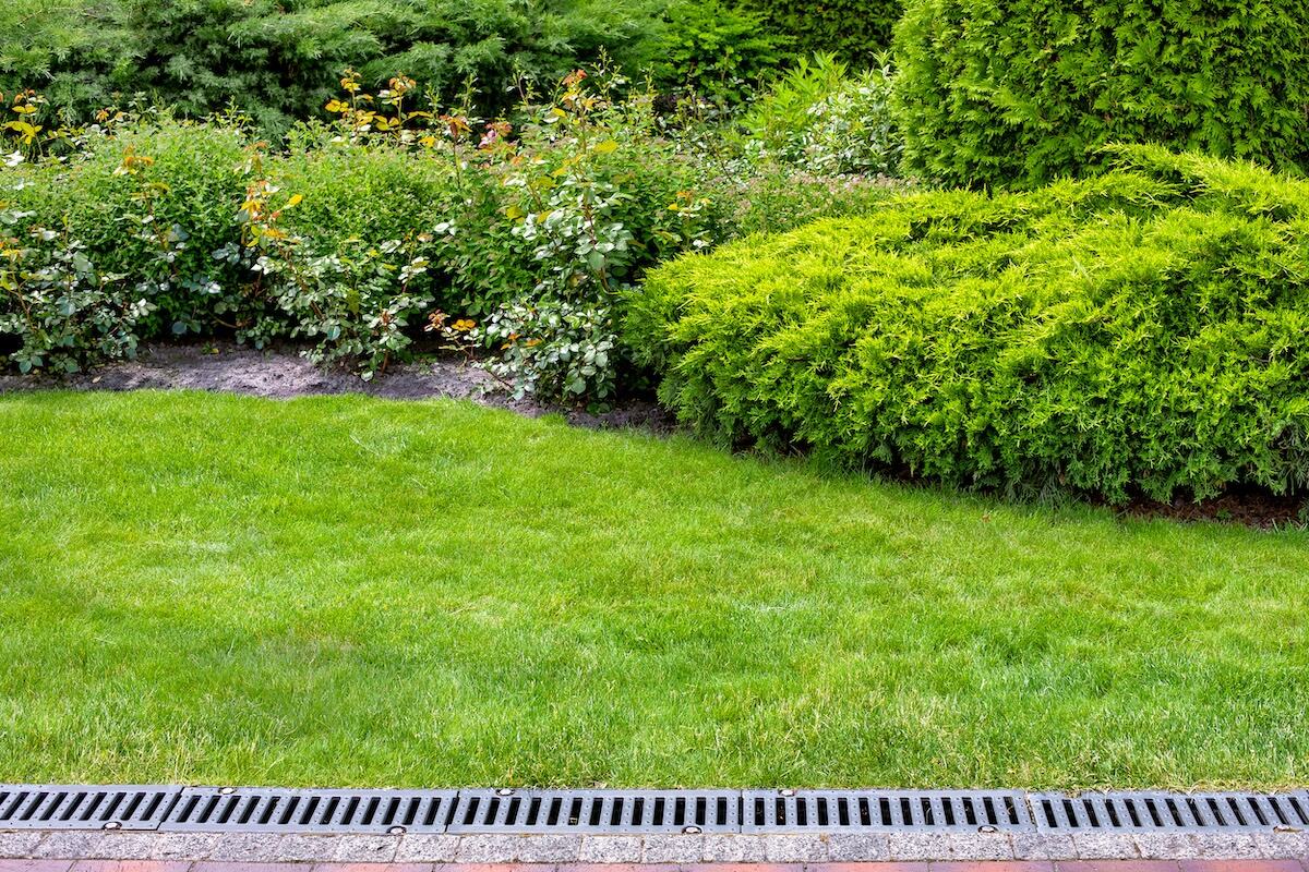 Landscape drainage improvement — Green Grass Landscape, Chicago's western suburbs