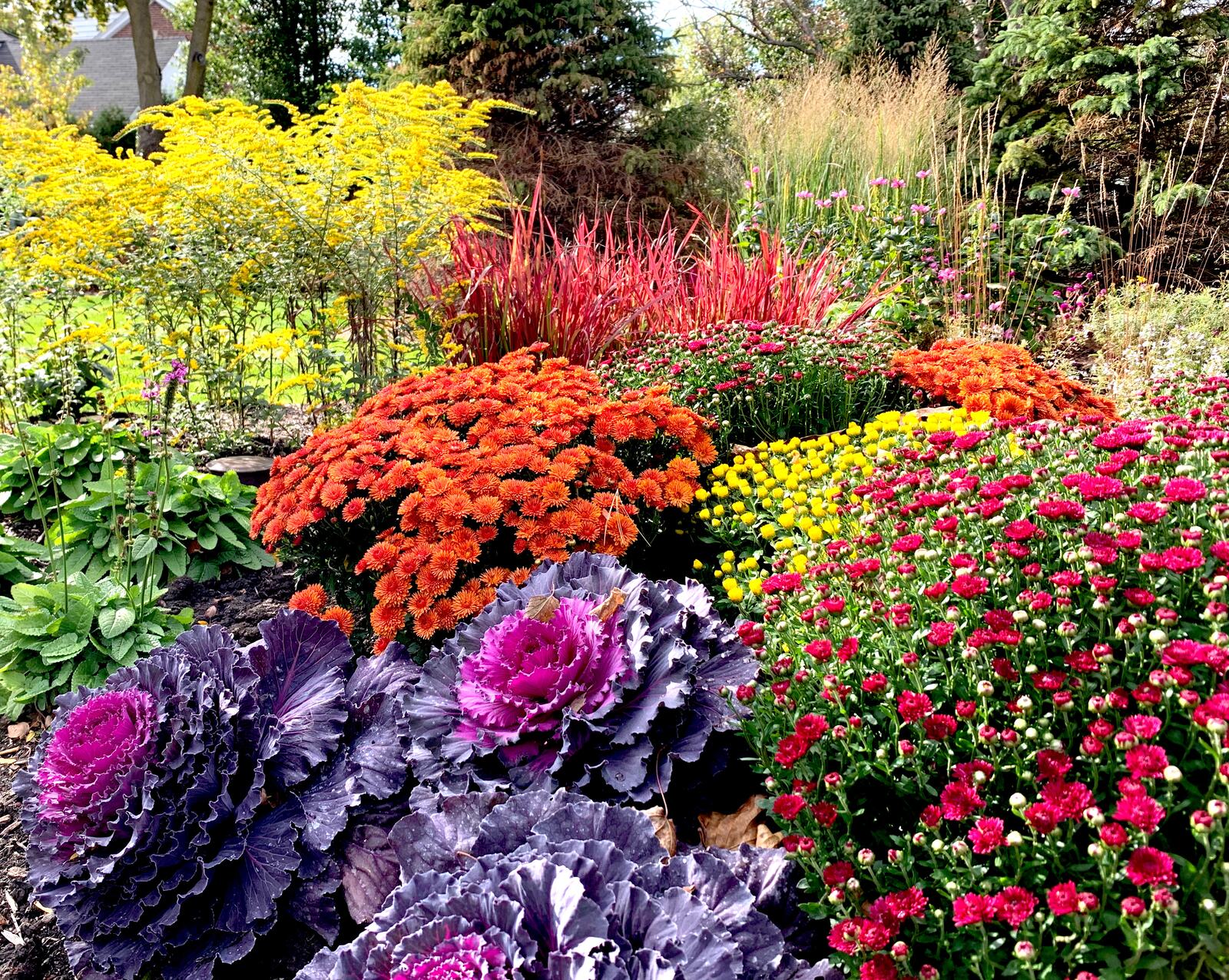 Plant installation — Green Grass Landscape, Chicago's western suburbs