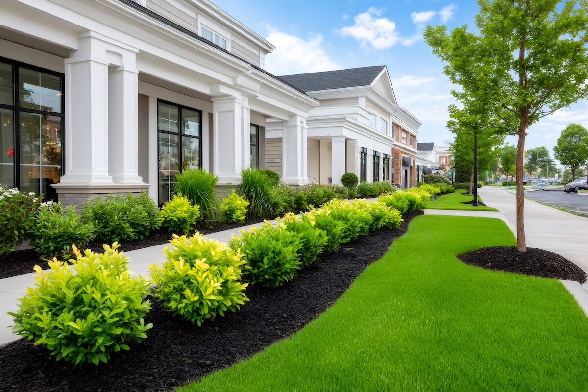 Green Grass Landscape project in Downers Grove, IL