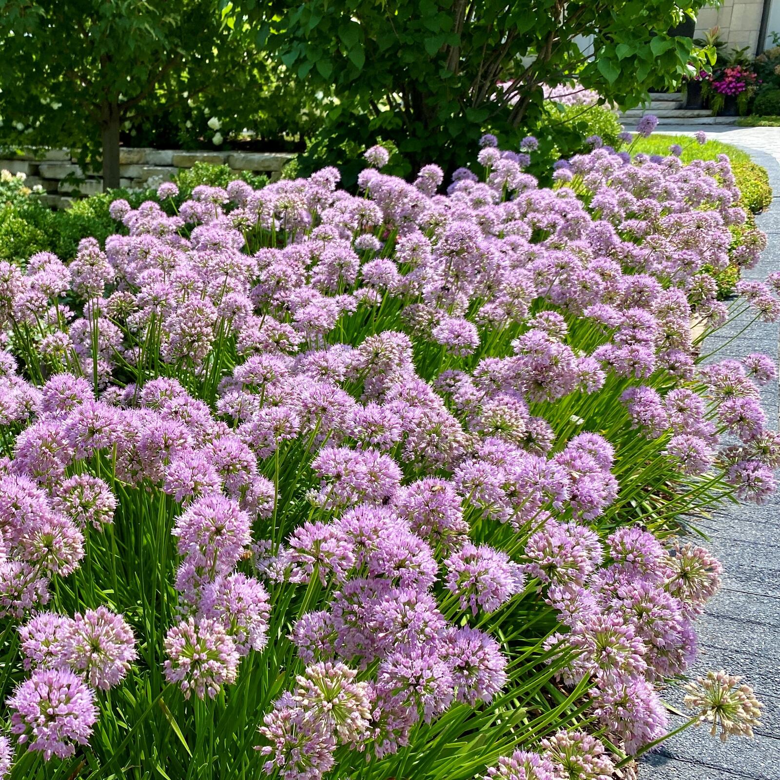 Our Team — Green Grass Landscape, Chicago's western suburbs
